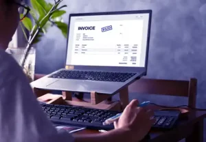 Accounting Software for Small Businesses in Egypt